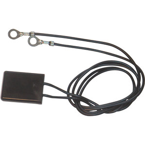 BAAS EP12 12 V ELECTR. PROTECTOR