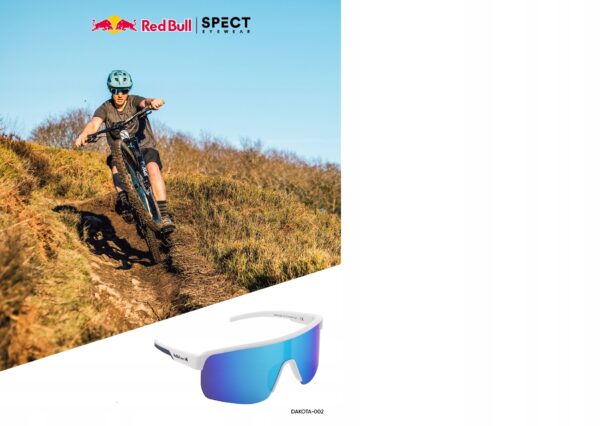 Okulary Red Bull Racing i644_6907